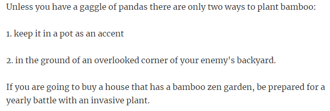 29. Choose Bamboo carefully.