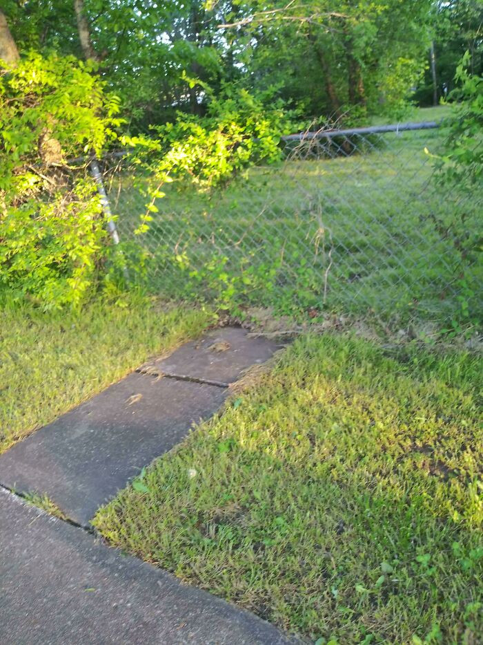 48. Oh, indeed, a face covered by a barrier.