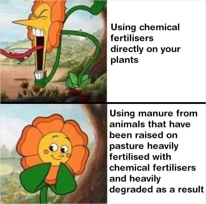 1. The facial expressions