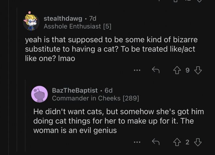 If you can't have a cat, you can just become one.