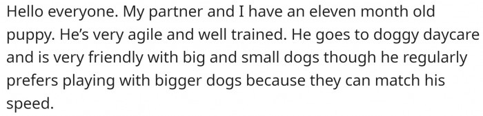 OP and their partner have an 11-month-old dog