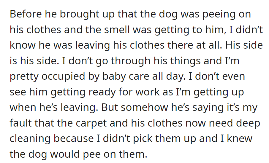 Partner leaves clothes, dog pees. Mom unaware, blamed for mess.