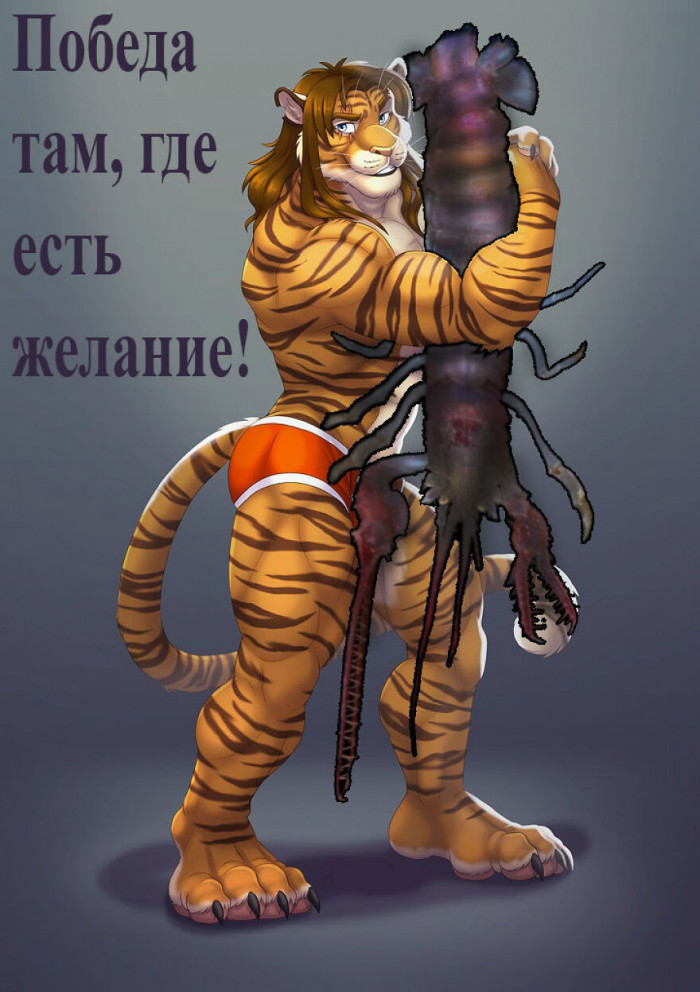 26. I have the strength of a tiger, and I always win
