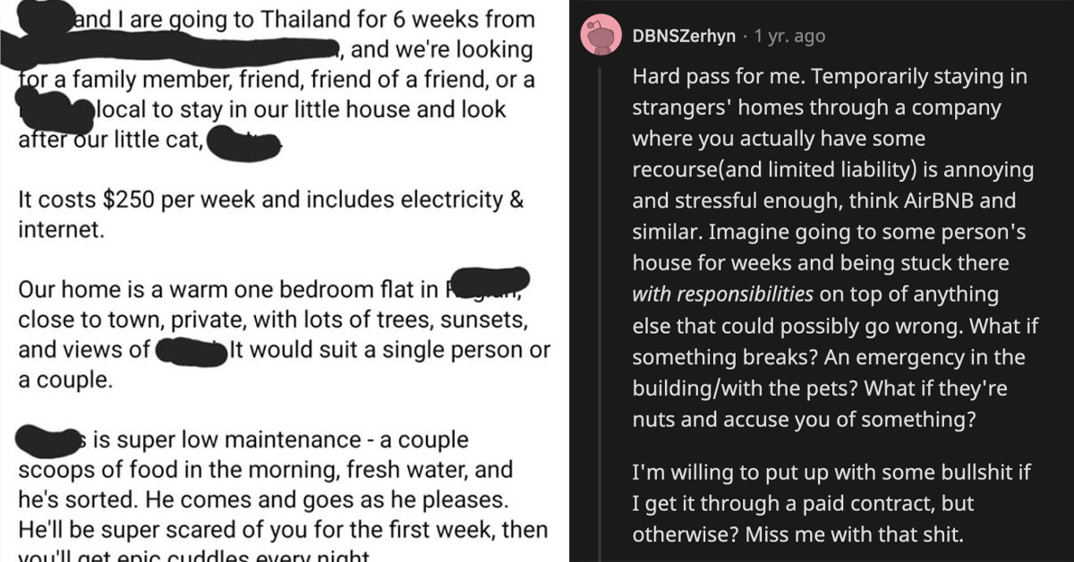 Couple Wants A House/Pet Sitter To Pay Them $1500 To Stay In Their Flat And Take Care Of Their Cat While They Jet Off To Thailand For 6 Weeks