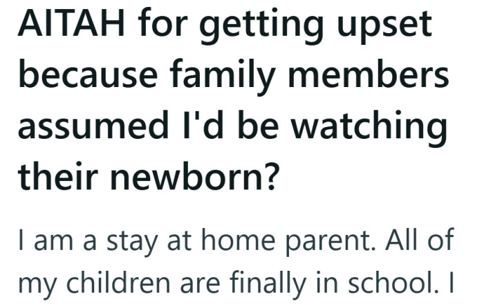 A quiet holiday chat turned uneasy when they discovered the family had already decided they’d be the newborn’s daily caregiver.