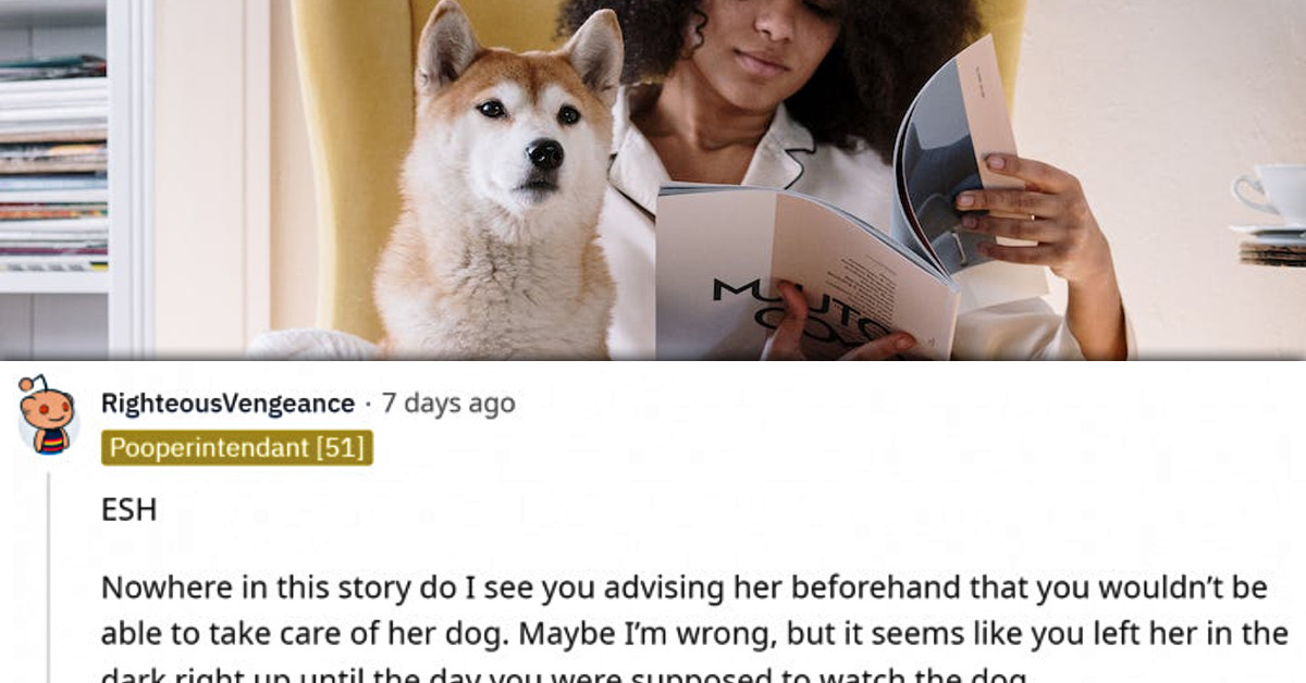 This Daughter Wants To Know If She's Wrong For Not Watching Her Mom's Dog, But The Story Is More Complicated Than That