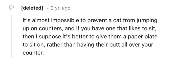 “It's almost impossible to prevent a cat from jumping up on counters.”