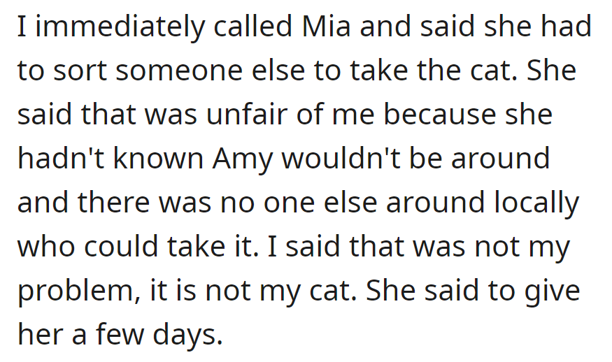Upon Amy's absence, OP asked Mia to rehome the cat. Mia, citing local constraints, requested a few days to handle it.