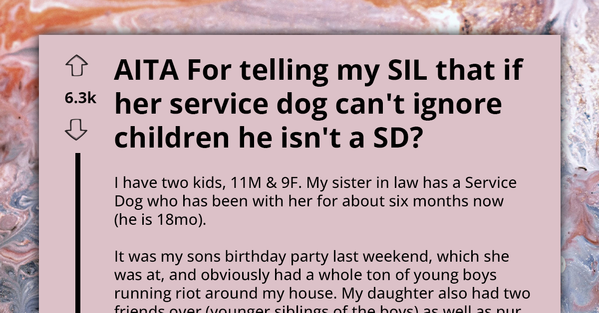 Redditor Stirs Up Drama After Dubbing Sister-In-Law's Service Dog ‘Useless’ And 'Poorly-Trained’