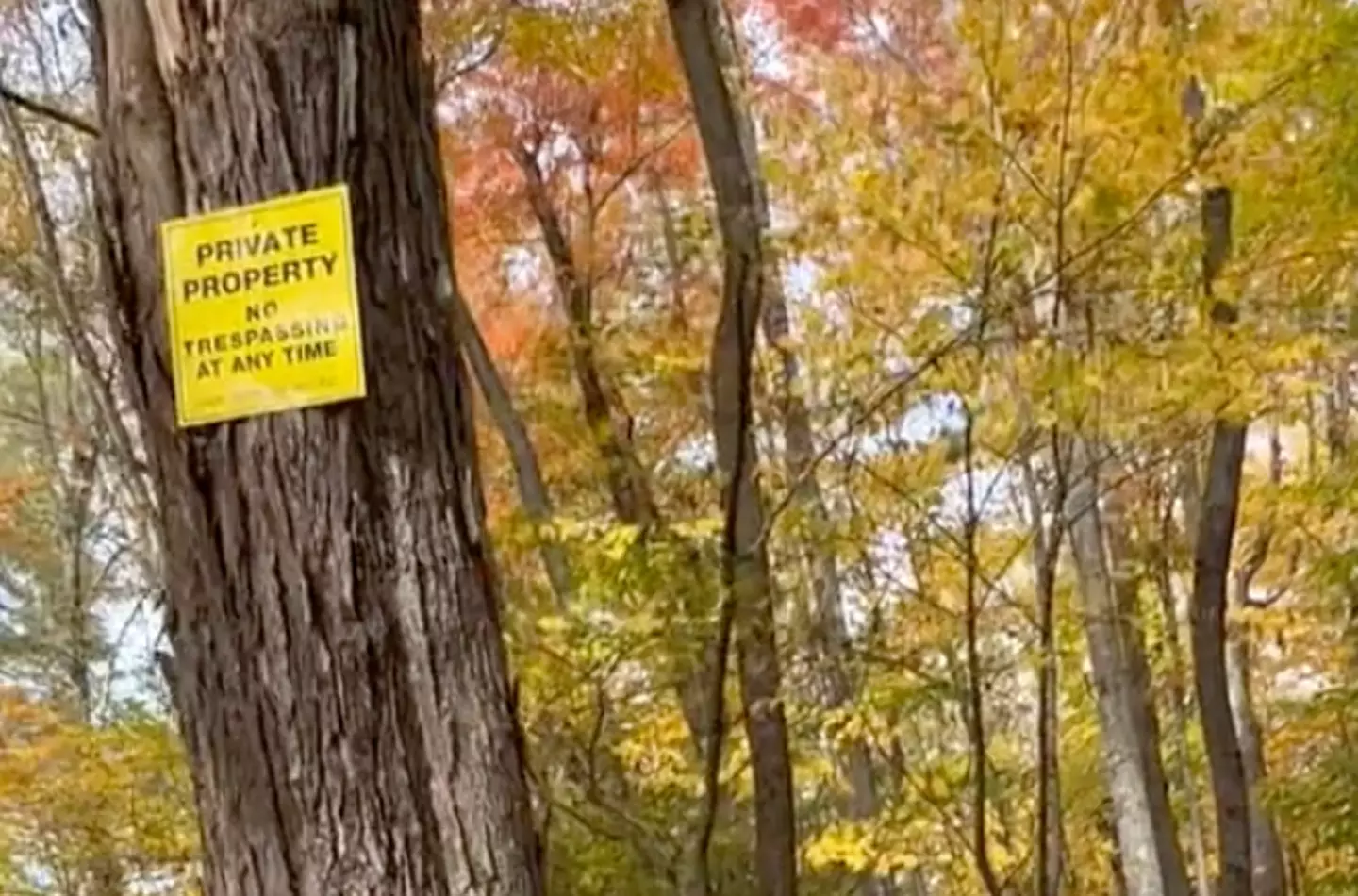 The Abandonment of Dudleytown