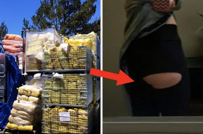 22. They had so much product that they had to store some of it outside