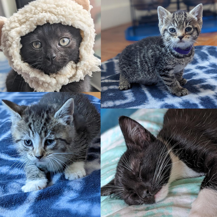 At the upper-left corner, we have 