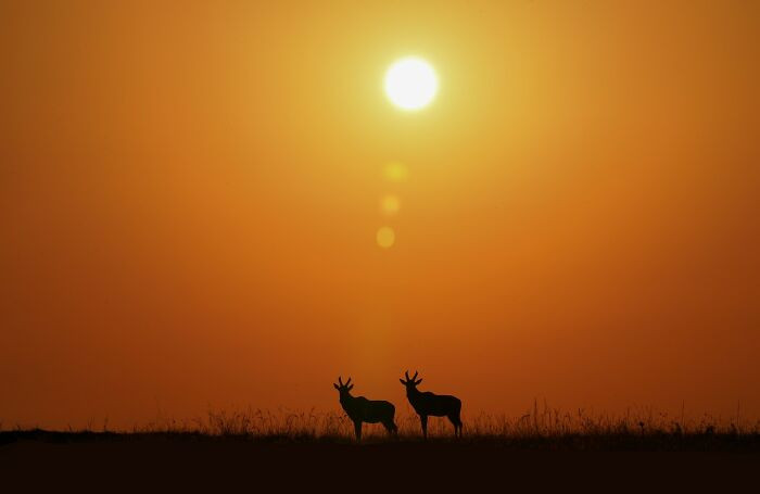 The Scenic Sunrise Of Masai Mara