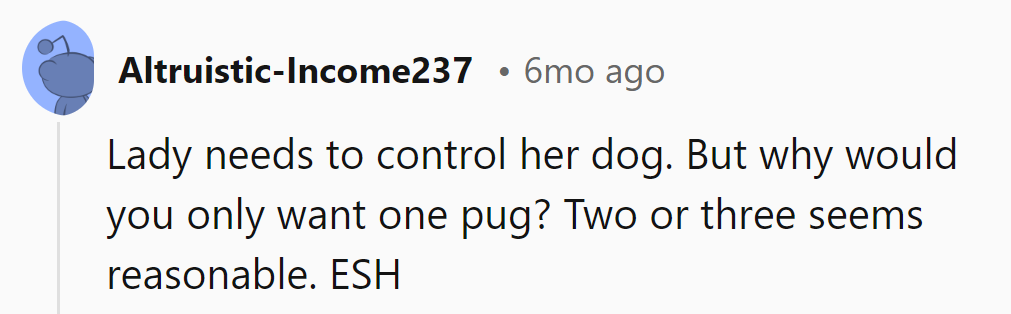 Lady's dog needs manners. Also, who can resist just one pug? Maybe a trio next time!