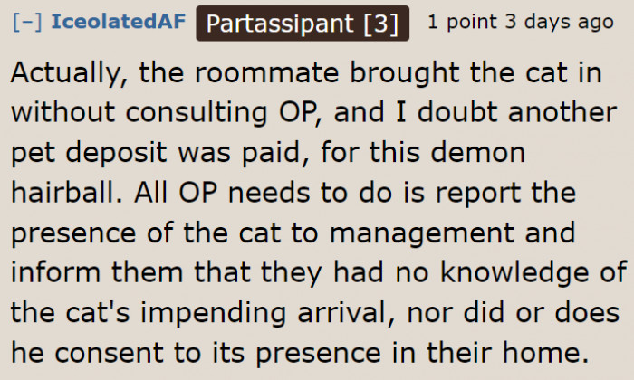 Reporting the incident to the landlord/landlady sounds like a good idea.