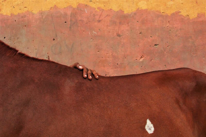 The Lost Home By Aniruddha Guha Sarkar, Finalist