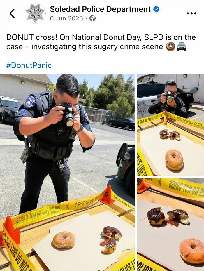 "Looks Like An Inside Job"