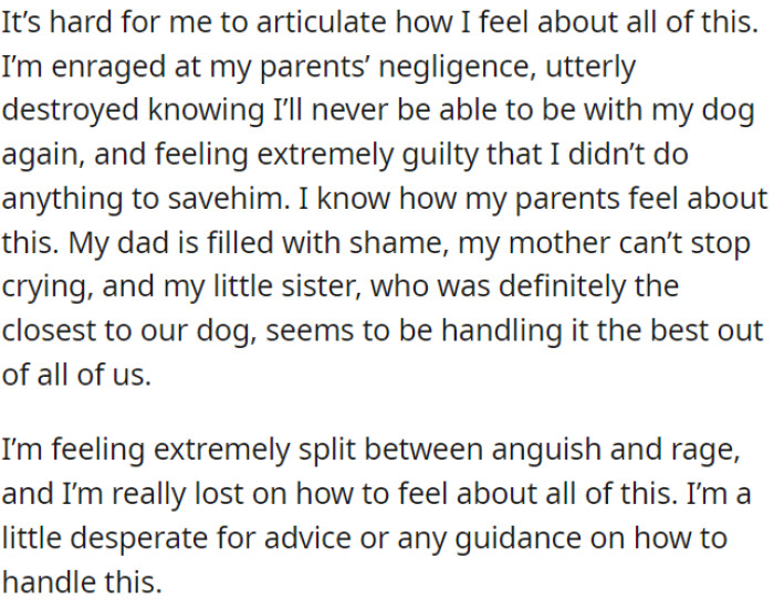 OP is Distressed Due to His Parents' Lack of Attentiveness, Profoundly Grieving the Loss of Their Dog, and Burdened with Remorse for Not Having Taken More Significant Action.