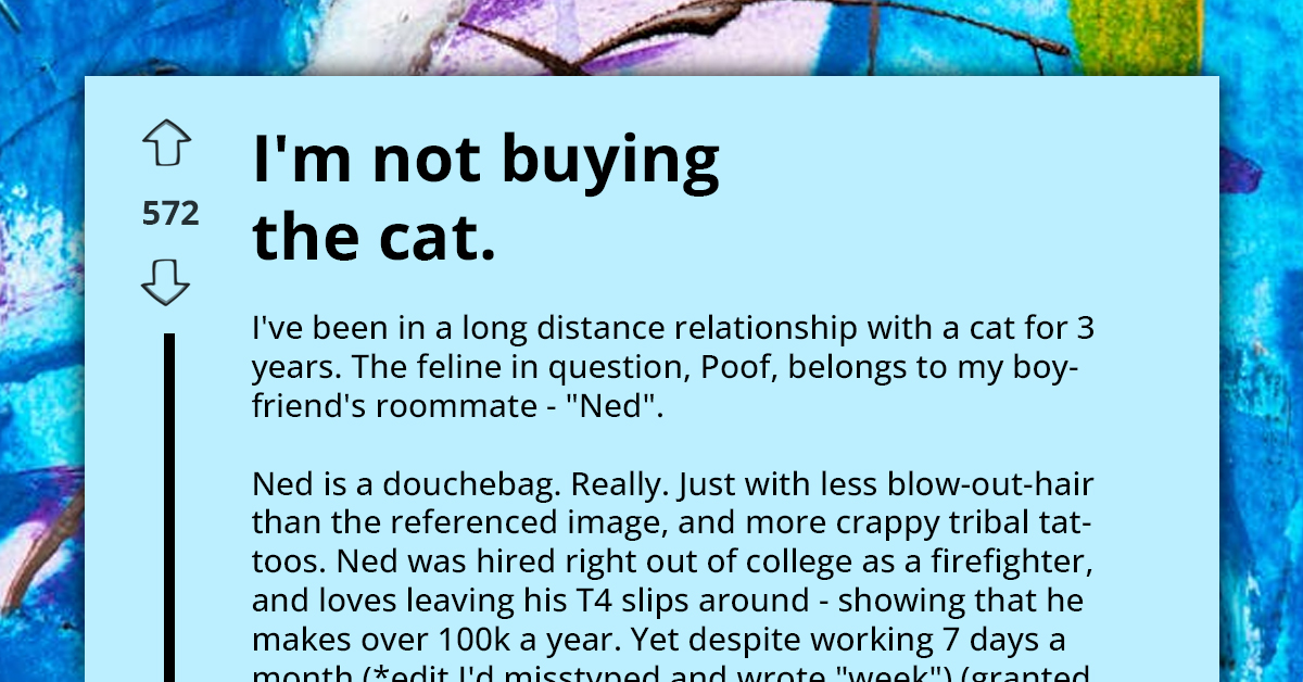 Redditor Kidnaps Cat From Neglectful Firefighter Roommate After Emotional Turmoil and Animal Cruelty Allegations