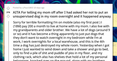 Redditor Calls Out Mother For Repeatedly Letting An Unsupervised Dog Destroy His Room Overnight