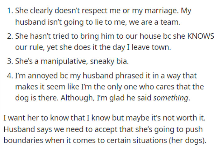 Then she provided some points to illustrate her MIL's behavior and what OP thought about the entire situation.