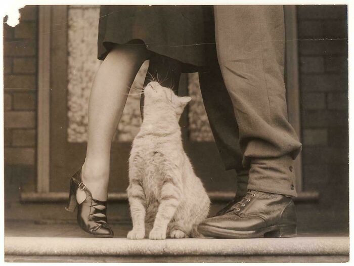 "Sam Hood, Soldiers Goodbye & Bobbie The Cat, Sydney Ww2 Period"