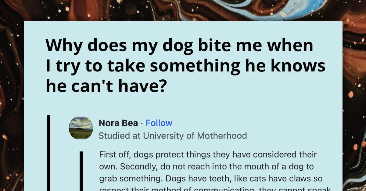 People Share Ways to Outsmart Your Pup and Prevent Pawtential Bite Attacks While Steering Their Jaws Away from Forbidden Treasures