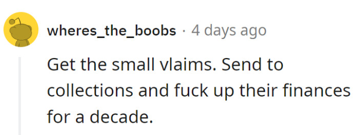 Small claims: the legal mic drop. Send it to collections and sprinkle some financial karma over a TV mishap.