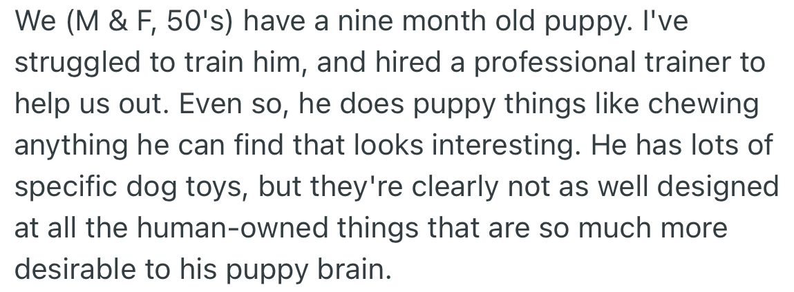 OP and her husband got a new puppy. To help train it, they hired a professional, however, the puppy chews everything he sees.