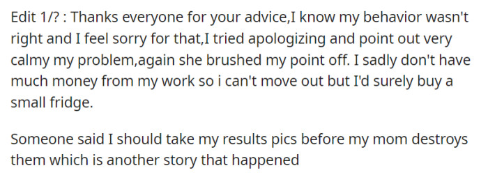 Acknowledging their wrongdoing and unable to move out due to financial constraints, OP plans to buy a small fridge to protect their creations and take result photos before their mom can interfere.