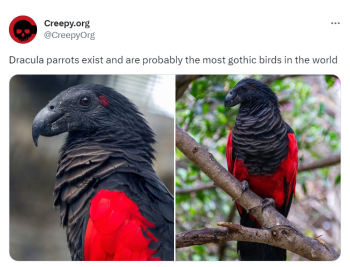 16. My inner Goth has a mighty need