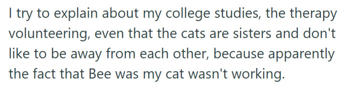 She highlighted her college studies, therapy work, and the cats' sisterly bond to stress that Bee was her pet, but the mother didn't seem to understand.