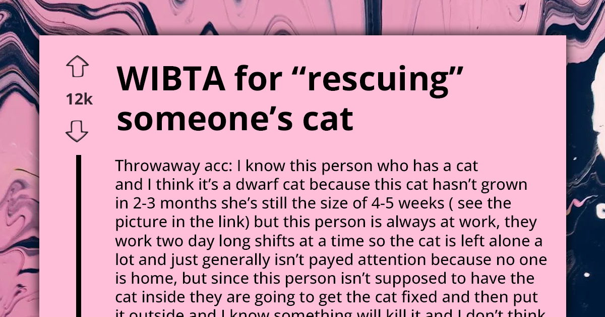 Person Plans To 'Rescue' Neglected Dwarf Cat From Overworked Neighbor, Sparks Ethical Debate