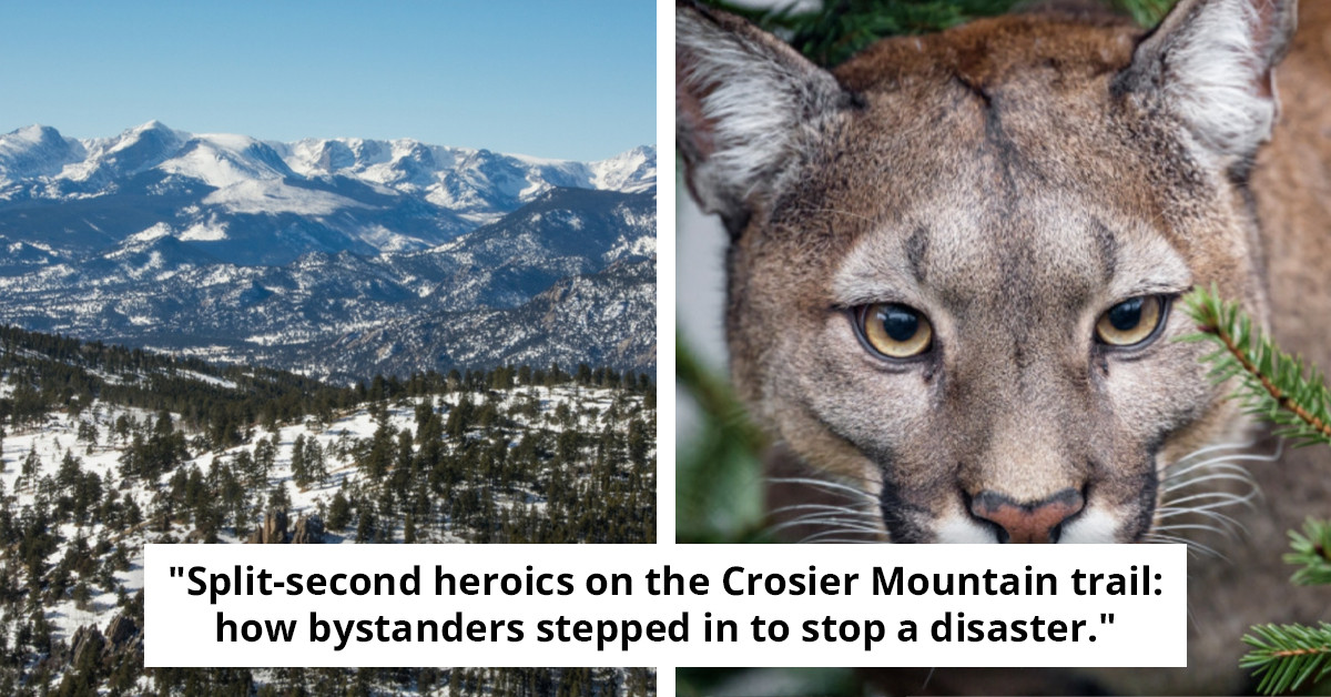 Fatal Incident Involving Woman and Mountain Lion Marks First Deadly Encounter in US State in Over Two Decades