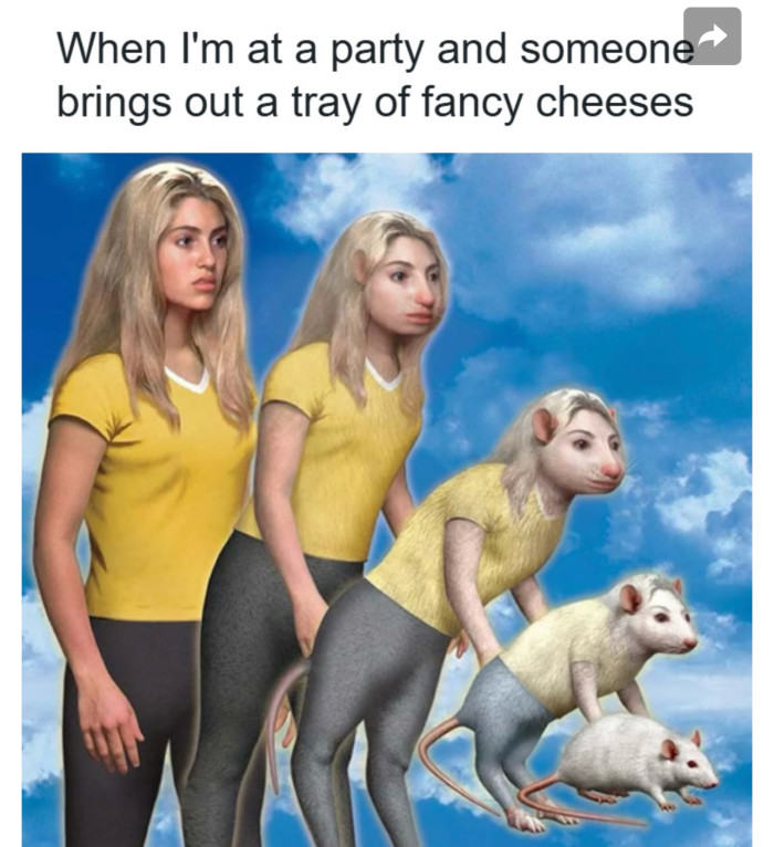 20. When cheese brings out the rat in you