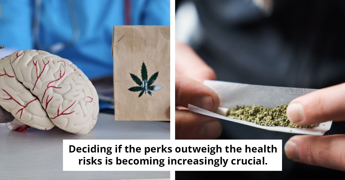 Fascinating simulation reveals the effects of daily cannabis use on your body.