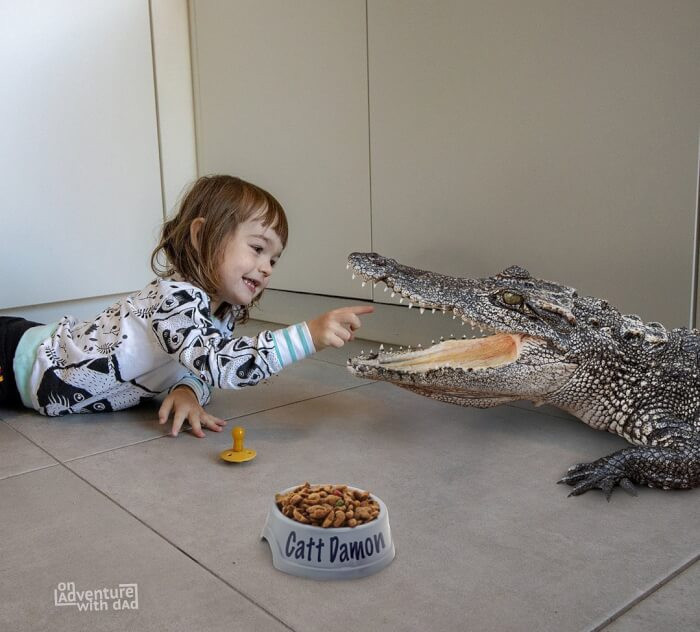 25. Reaction Game With Alligator... Where Exactly Is Mom?