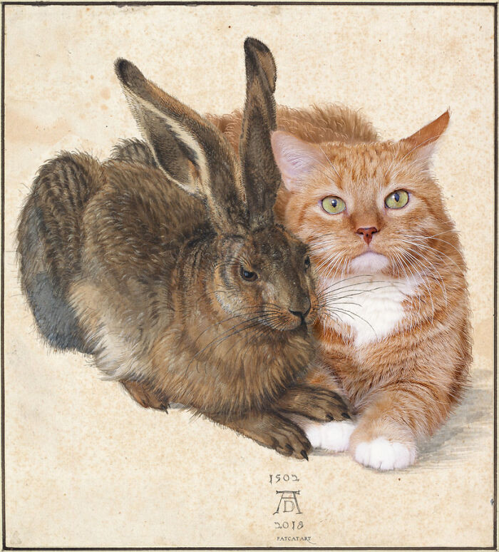 “Young Hare And Wise Cat”