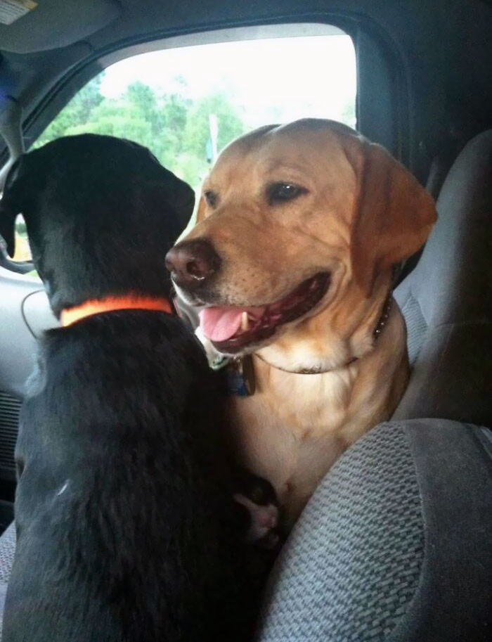 17. Friend Is Moving Away With Her Best Friends. When You See It