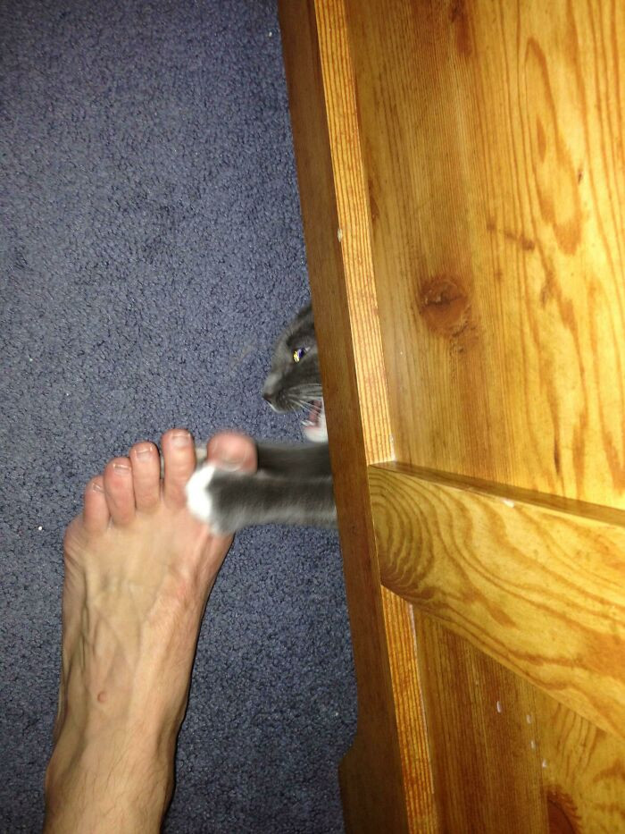 "Just When You Thought It Was Safe To Walk Around Barefoot…"
