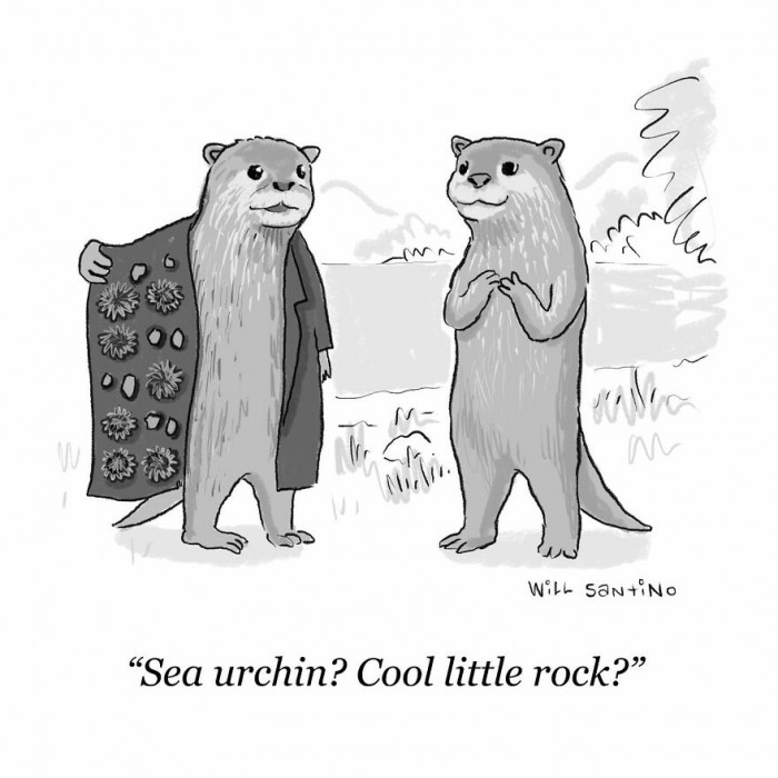 15. It's a display of different findings