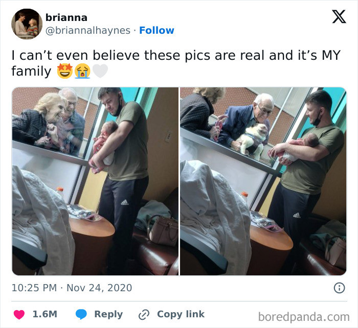 "The Pug Looks So Proud"