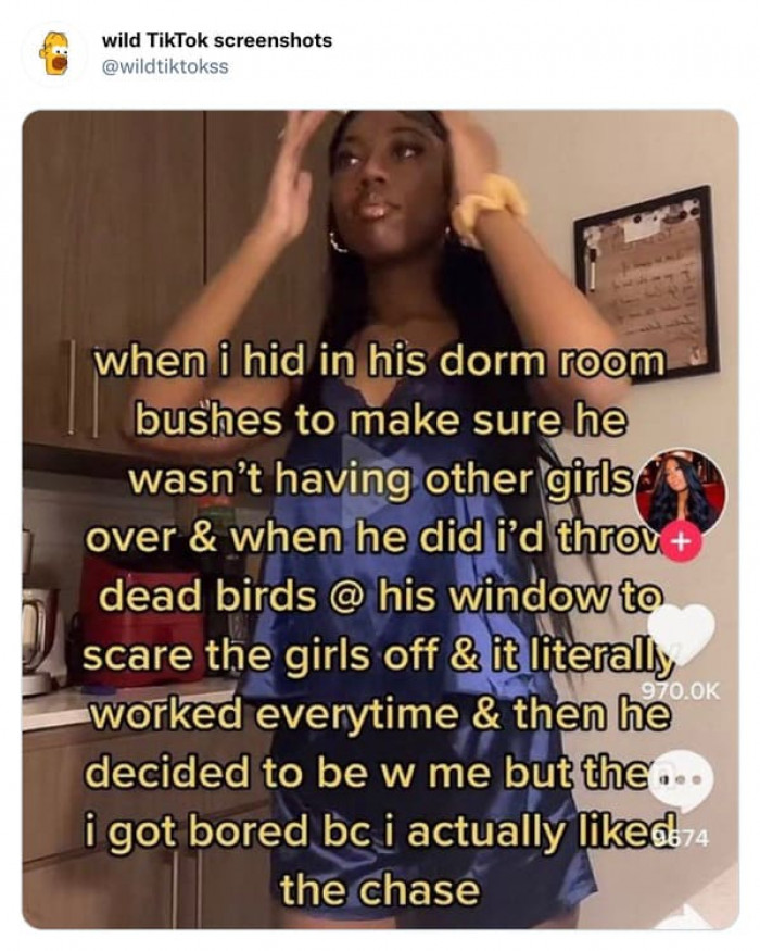 35. I Actually Liked the Chase