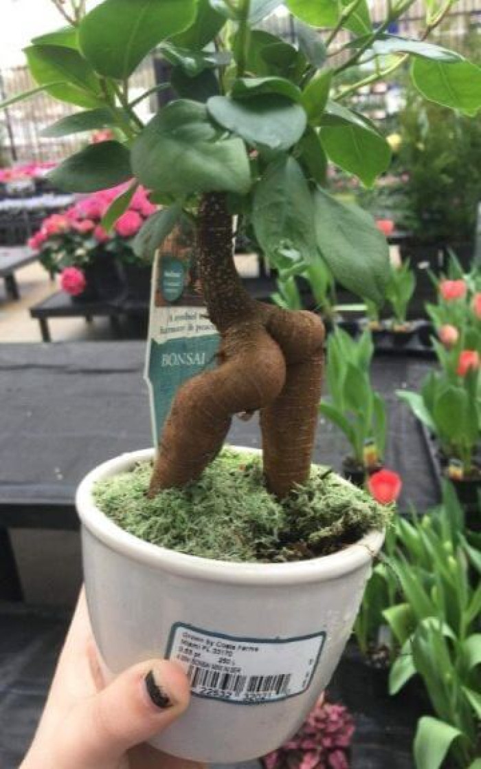 13. So sexy, or don't you think so?