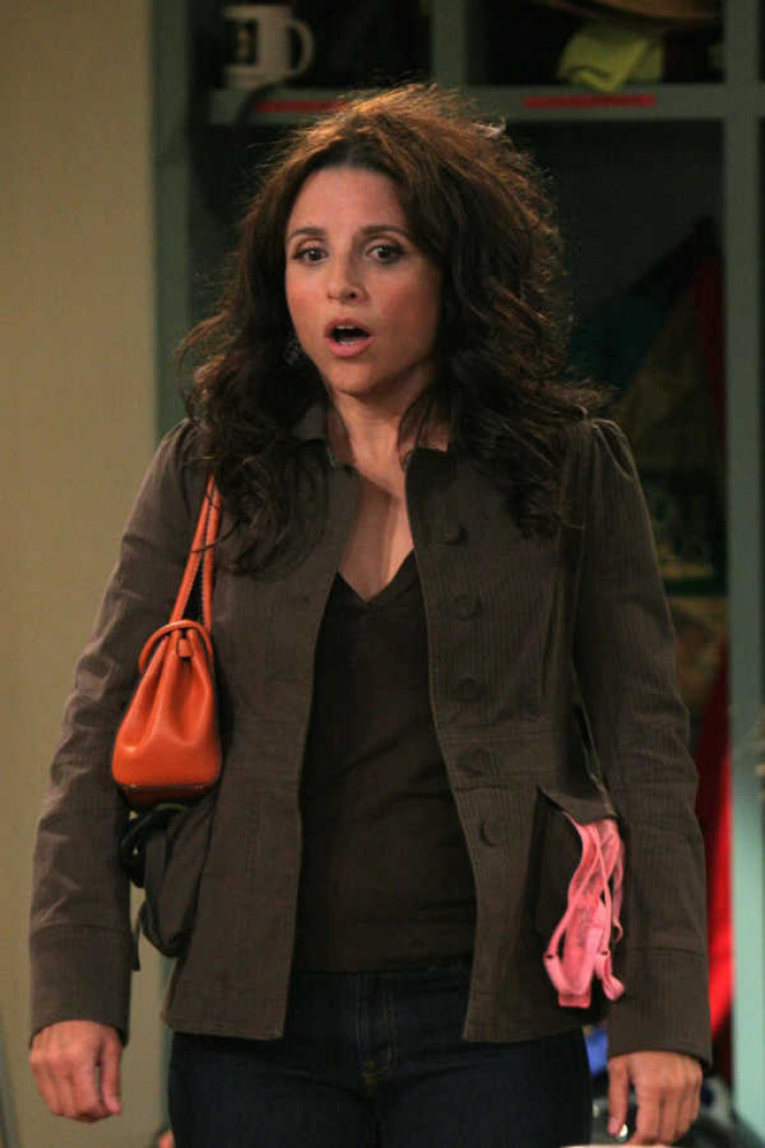 13. The New Adventures of Old Christine