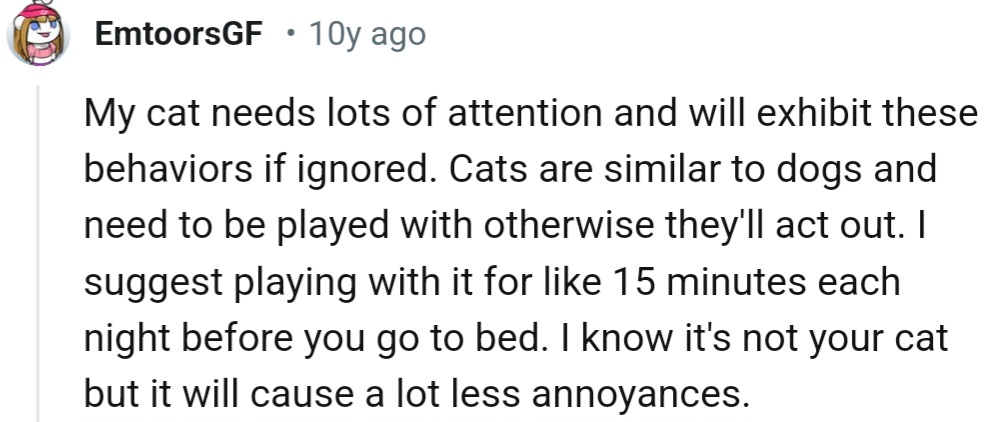 Check out some interesting comments we've gathered from the Reddit community;