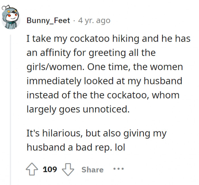 This poor husband gets a bad reputation because of their cockatoo. The bird almost always goes unnoticed.