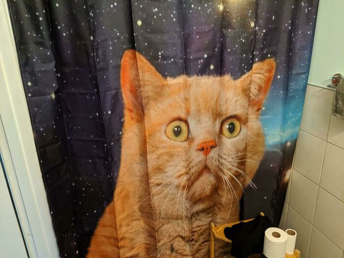 "I Don't Have A Wife Or GF So I'm In Charge Of The Shower Curtain... and Sadly Everything Else"