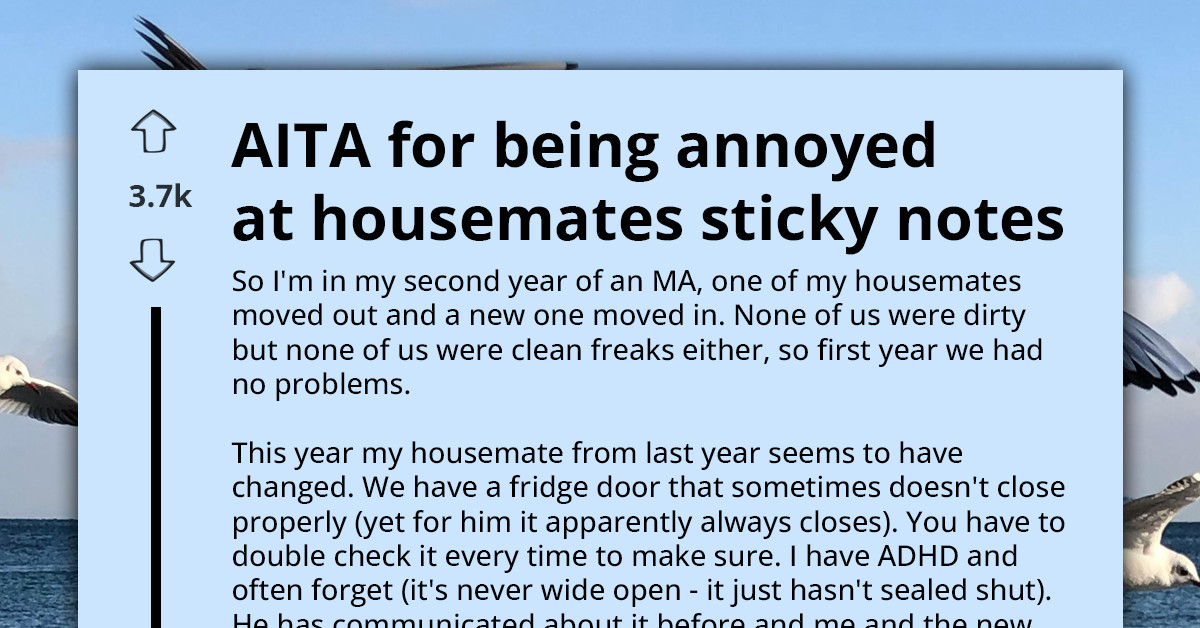 Student Feels Targeted After Passive-Aggressive Notes Appear Over A Fridge Door Mistake