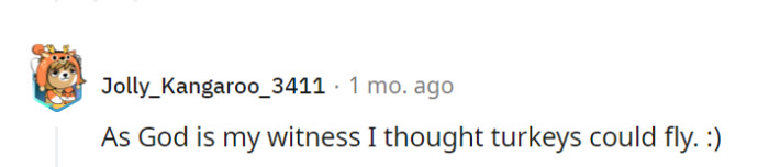 Well, they say the sky's the limit, but turkeys might need a few flight lessons first...